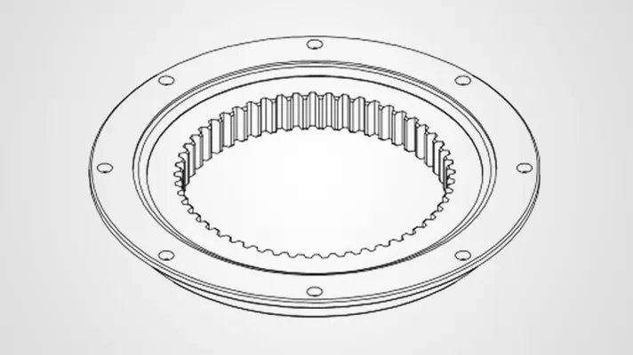 ZZ-RK6-16N1Z Internal gear flange type slewing bearing